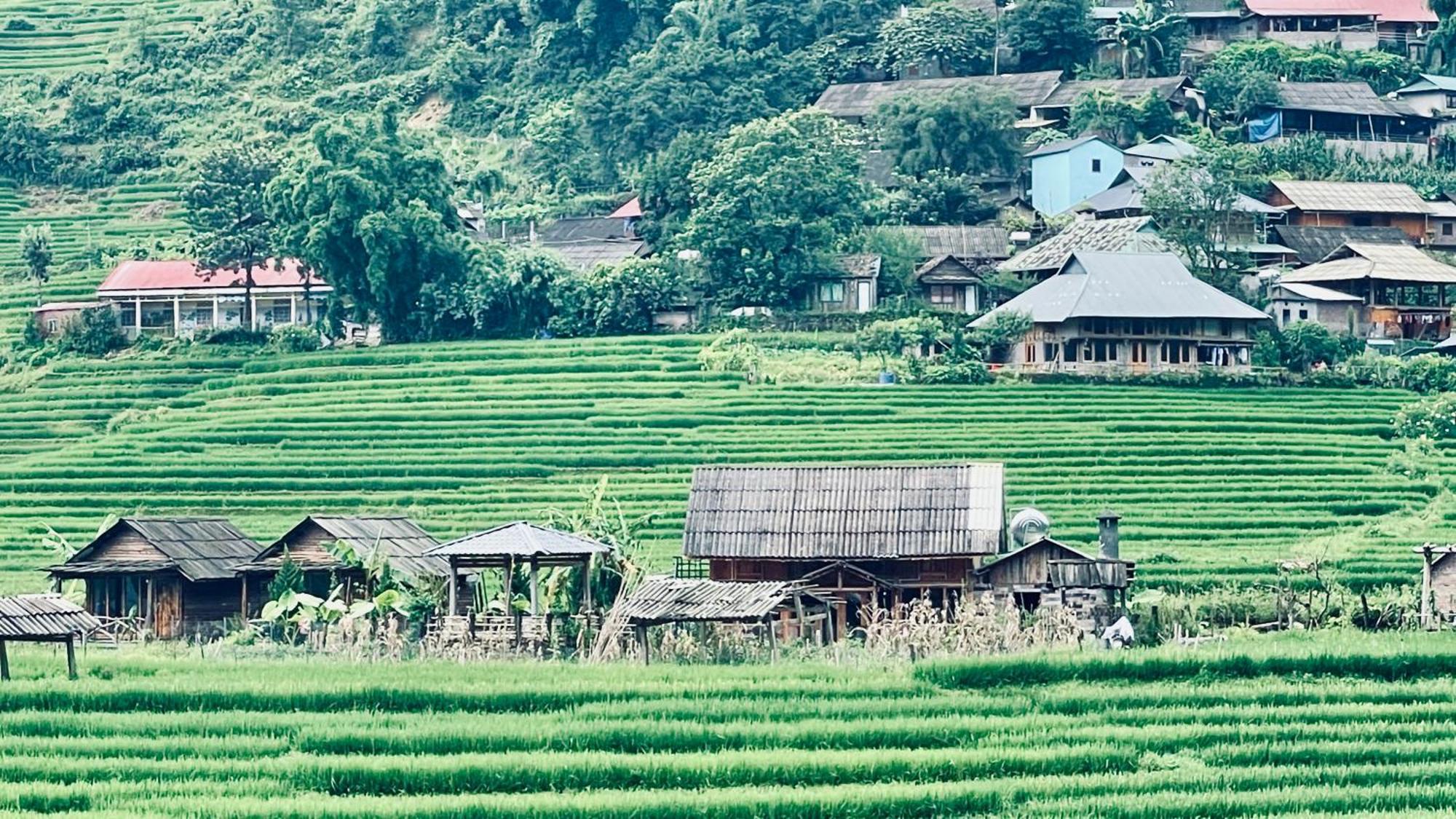 萨帕 Eco Rice Fields House旅舍 外观 照片